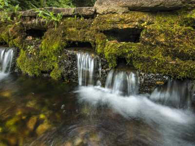 Withrow_Springs_State_Park _Aug2016_KSJ_0520ps.jpg