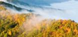 fog flows through Cumberland Gap