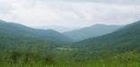 Roaring Creek viewshed in North Carolina looking east at about 4,600 feet elevation.